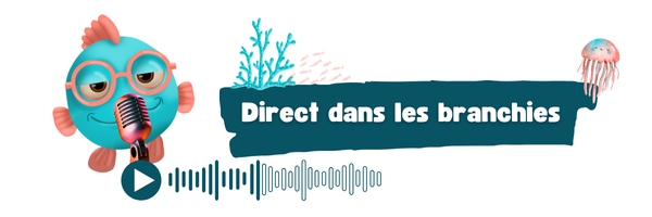 Copie de Bien vu, (18)