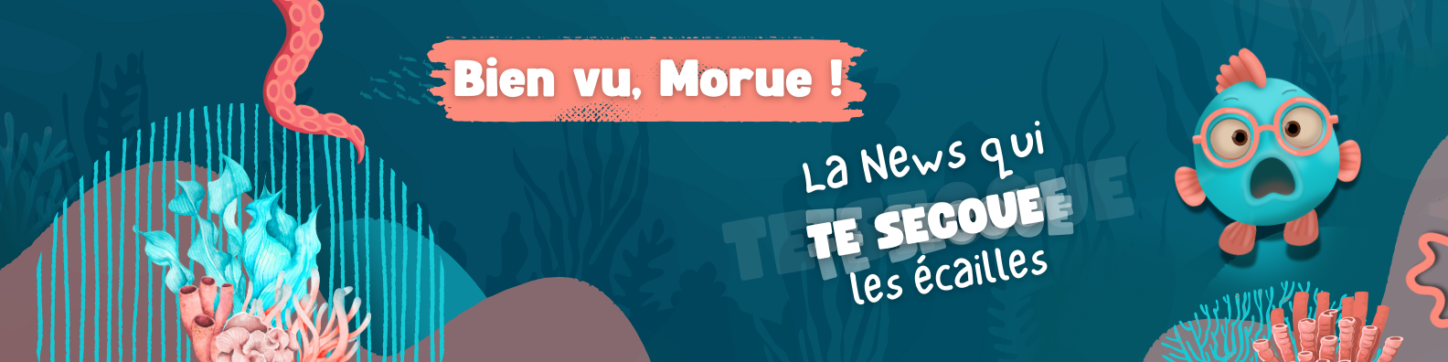 ban morue (35)